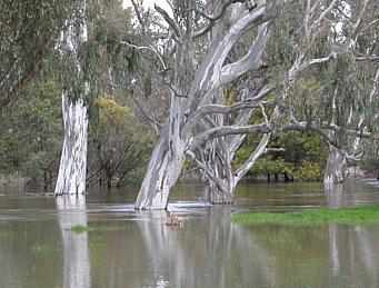 Frost crossing in flood